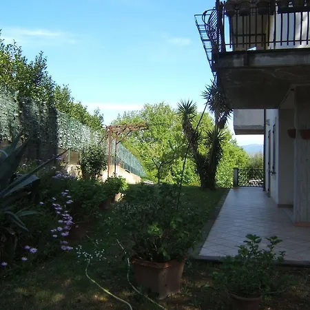 Greatview Apartamento